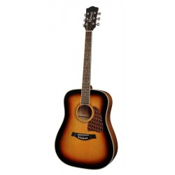 Guitare Richwood RD-16