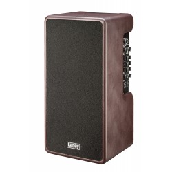 AMPLI LANEY ACOUSTIC...